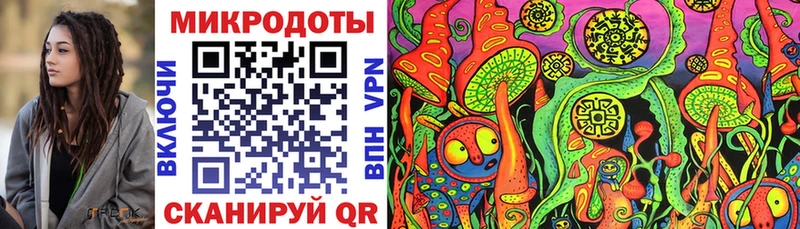 Галлюциногенные грибы Psilocybine cubensis Лаишево